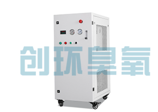 广安石斑鱼养殖水质调控完整指南：臭氧发生器配置与操作步骤