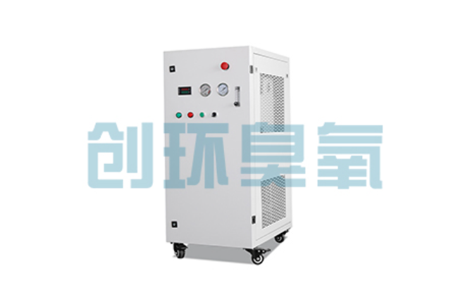 广安比传统换水更高效？臭氧发生器在石斑鱼养殖中的水质净化原理解析